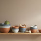 Bowl 24 cm