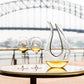 Decanter Amadeo Black Tie