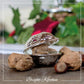 Nutcracker Walnut
